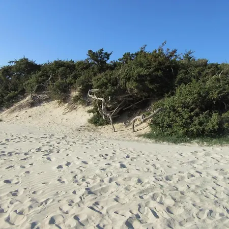 Athena By Cala Salento *